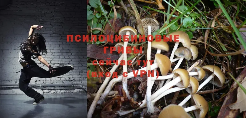 нарко площадка клад  наркота  Вуктыл  Галлюциногенные грибы Magic Shrooms 